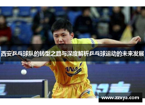 西安乒乓球队的转型之路与深度解析乒乓球运动的未来发展